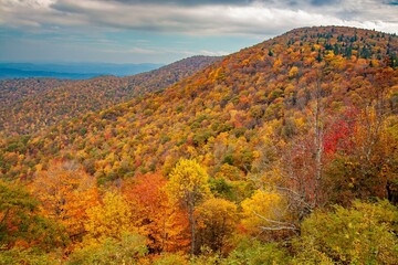 Wall Mural - View from the Blue Ridge Parkway in North Carolina in the autumn season with the trees showing peak fall color.