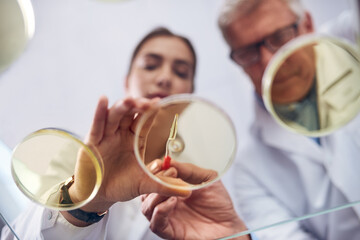 Wall Mural - Sample, science and teamwork with people in laboratory from below for innovation or research. Breakthrough, discovery or petri dish with man and woman scientist at work for experiment or vaccine