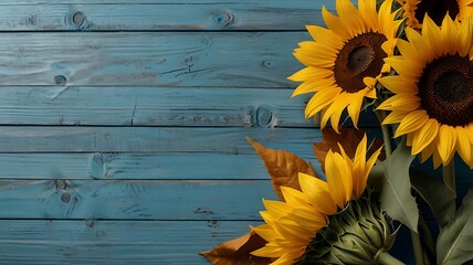 Wall Mural - sunflower on wooden background