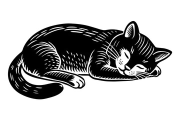 Sticker - cat sleeping vector illustration