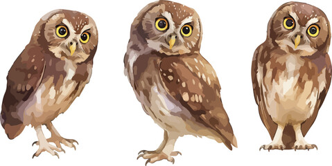 Wall Mural - owl watercolor clipart