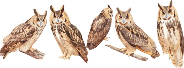 Wall Mural - owl watercolor clipart