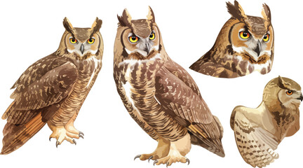 Wall Mural - owl watercolor clipart