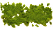 © BlazingDesigns - Green moss covered wall surface isolated on transparent png background.