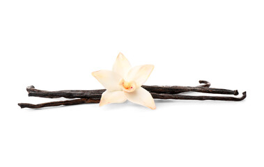 Wall Mural - Beautiful vanilla flower with sticks isolated on white background