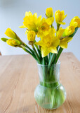 Narcyz, Żonkil, Narcissus, Daffodil