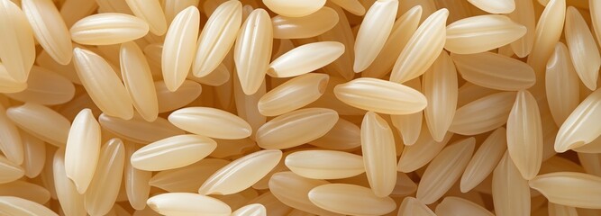 18. Carnaroli rice ears, favored for making creamy risotto due to its high starch content