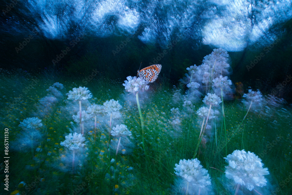Ethereal fine art painting of a butterfly in a dreamy meadow