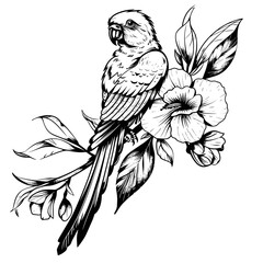 Wall Mural - A black and white drawing of a parrot perched on a flower. The drawing has a calm and peaceful mood, with the bird and flower being the main focus