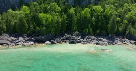 Wall Mural - cliffside rocky beach with trees