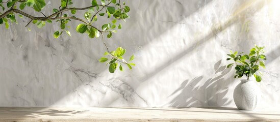 Poster - Spring green leaves on a tree branch under sunlight, casting a shadow on a white marble wall, wooden table, with space for writing.