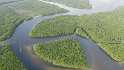 Poster - Aerial top view of Heart island in Trang province, Thailand. Forest trees in nature landscape background.