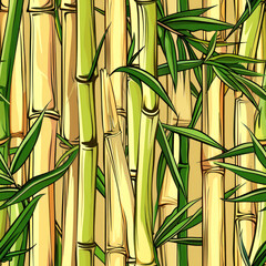 Wall Mural - pattern of bamboo