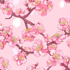  pattern of sakura