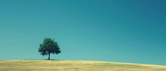 Minimalist Nature Wallpaper for Ultrawide Screen 21:9  , tree on the plains 