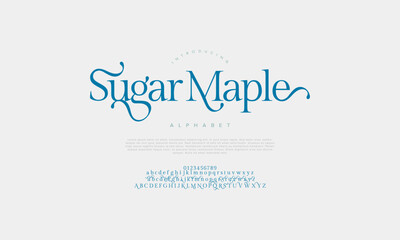 Canvas Print - Sugarmaple premium luxury elegant alphabet letters and numbers. Vintage wedding typography classic serif font decorative vintage retro. creative vector illustration