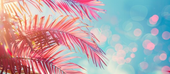 Pink tropical palm leaves against a blue sky with vibrant bokeh sunlight background. Depicting a concept of summer vacation and nature exploration. Vintage color filter applied.