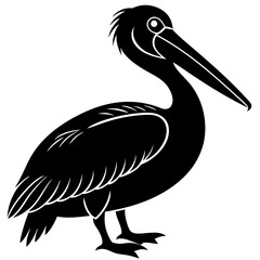 Wall Mural - pelican on white