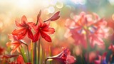 Beautiful meadow of amaryllis flowers close up, summer time on a sunny day, soft focus background, whimsical and Idyllic nature