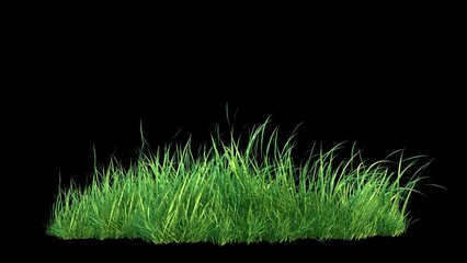 Wall Mural - grass wind noise loop on alpha channel. element footage place on footage or background and easier to