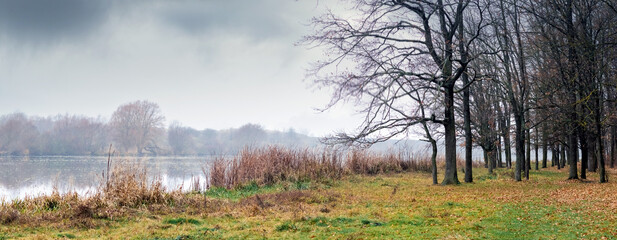 Canvas Print - Autumn landscape with bare trees in the forest near the river on a cloudy day