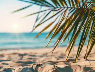 Wall Mural - Landscape seascape summer vacation holiday travel tropical ocean sea background panorama - Close up of palm tree leaves on the sand beach, illuminated by the sun