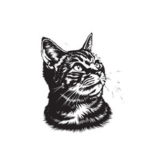 Wall Mural - Tabby cat vector silhouette illustration design 