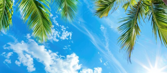 Aufkleber - A scenic tropical setting with coconut palm leaves against a vibrant blue sky, ideal for travel or nature themes, featuring a frame for text or slogan. Natural backdrop with space for text