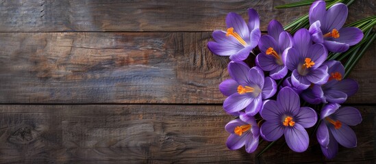 Poster - Colorful purple crocus flowers set against a rustic wooden backdrop, ideal for various celebrations like Valentine's Day, Women's Day, Mother's Day, and Easter. Perfect for greeting cards with copy