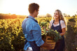 © Stratford/peopleimages.com - Agriculture, farming and growth with couple in field to harvest organic produce in season. Crate, sustainability and vegetation with farmer people outdoor in countryside for agro or agribusiness