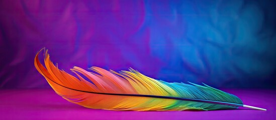 Aufkleber - Vibrant feather with a colorful backdrop in a vivid image with copy space.