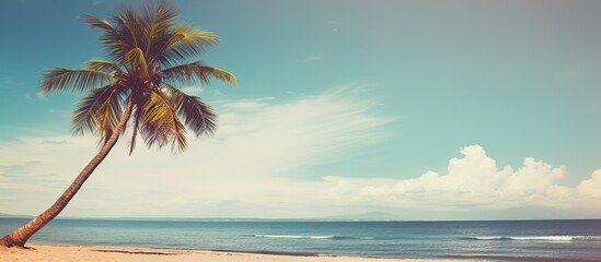 Aufkleber - Tropical beach scene with a palm tree under a blue sky and white clouds is a vintage-style image with space for text suggesting the theme of summer holidays and travel. with copy space image