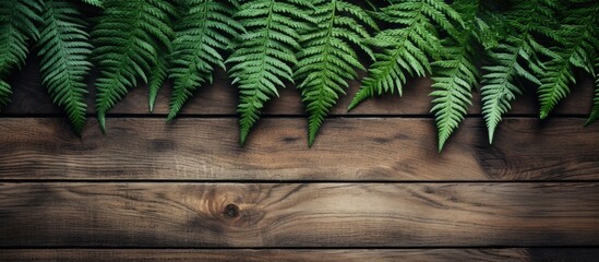 Leinwandbilder - Natural background with fern leaves on a rustic table, featuring copy space image.