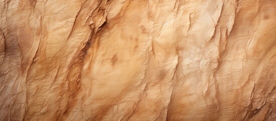 Poster - Attractive natural tree bark with a tan hue, providing a pleasing visual effect against a backdrop of soft colors, suitable for use as a copy space image.