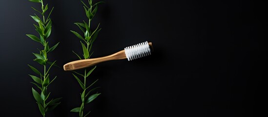 Poster - Trendy eco-friendly bamboo toothbrush with antibacterial properties, white bristles on black backdrop, highlighting environmental care as popular, with copy space image.