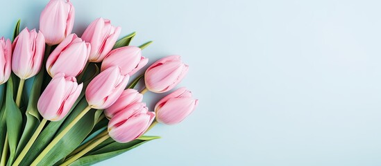 Poster - Floral arrangement with pink tulips on a light blue background for Women's Day and Mother's Day greetings. Top view with copy space image for a close-up flat lay.