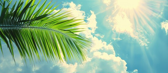 Wall Mural - Green palm leaf against blue sky with fluffy clouds in sunlight, serene natural backdrop with tropical feel and room for text, ideal for travel, holidays, and well-being
