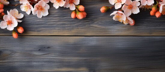 Fototapete - Apricot blossoms displayed against a wooden backdrop in a vibrant copy space image.