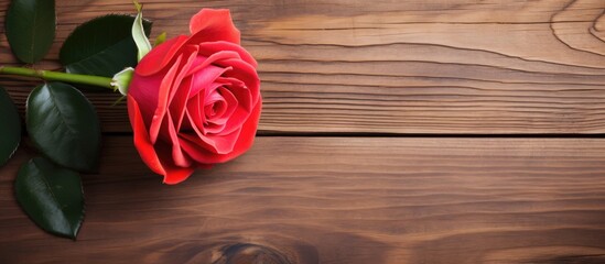 Poster - Valentine's Day background with a rose on a wooden surface, creating a beautiful copy space image.