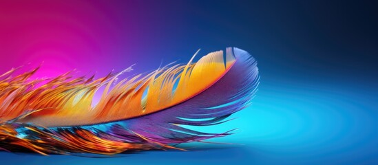 Aufkleber - Vibrant feather with a colorful backdrop in a vivid image with copy space.