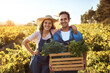 © Stratford/peopleimages.com - Portrait, happy couple and together on farm with harvest, support and pride in countryside. Woman, man with crate and organic vegetables for stock, agriculture and teamwork in garden for produce
