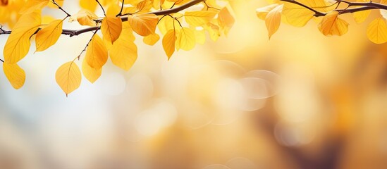 Aufkleber - Autumn park backdrop with blurred focus, showcasing vibrant yellow leaves on a branch, ideal for a copy space image.