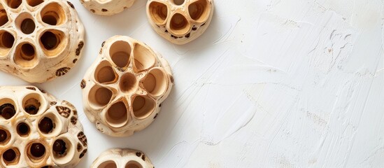 Poster - Copy space image featuring lotus root on a white backdrop.