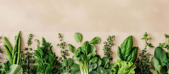Aufkleber - Fresh organic greens and herbs arranged on a beige backdrop with copy space image. Creates a healthy food flat lay view.