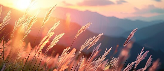 Aufkleber - Soft focus mountain grass at sunset, blowing in the wind with a blurred mountain backdrop, perfect for copy space image, illustrating the beauty of nature.