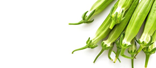 Sticker - Okra isolated on a blank background, with ample copy space image.