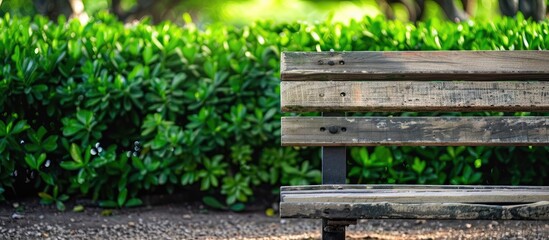 Aufkleber - A wooden bench with green bush leaves offers an inviting scene in the park's calming environment, ideal for a copy space image.