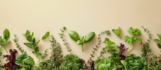 Aufkleber - Fresh organic greens and herbs arranged on a beige backdrop with copy space image. Creates a healthy food flat lay view.