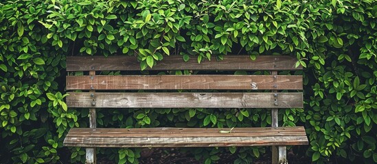Aufkleber - A wooden bench with green bush leaves offers an inviting scene in the park's calming environment, ideal for a copy space image.