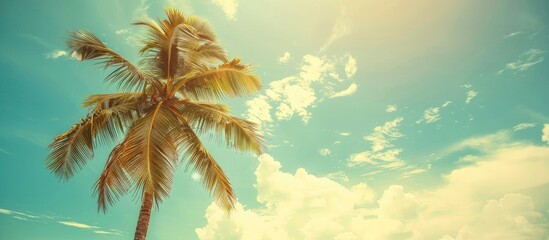 Tropical palm tree with sunlight against a blue sky and clouds creates a serene background for vacation and travel concepts with a vintage color style in the image's copy space.